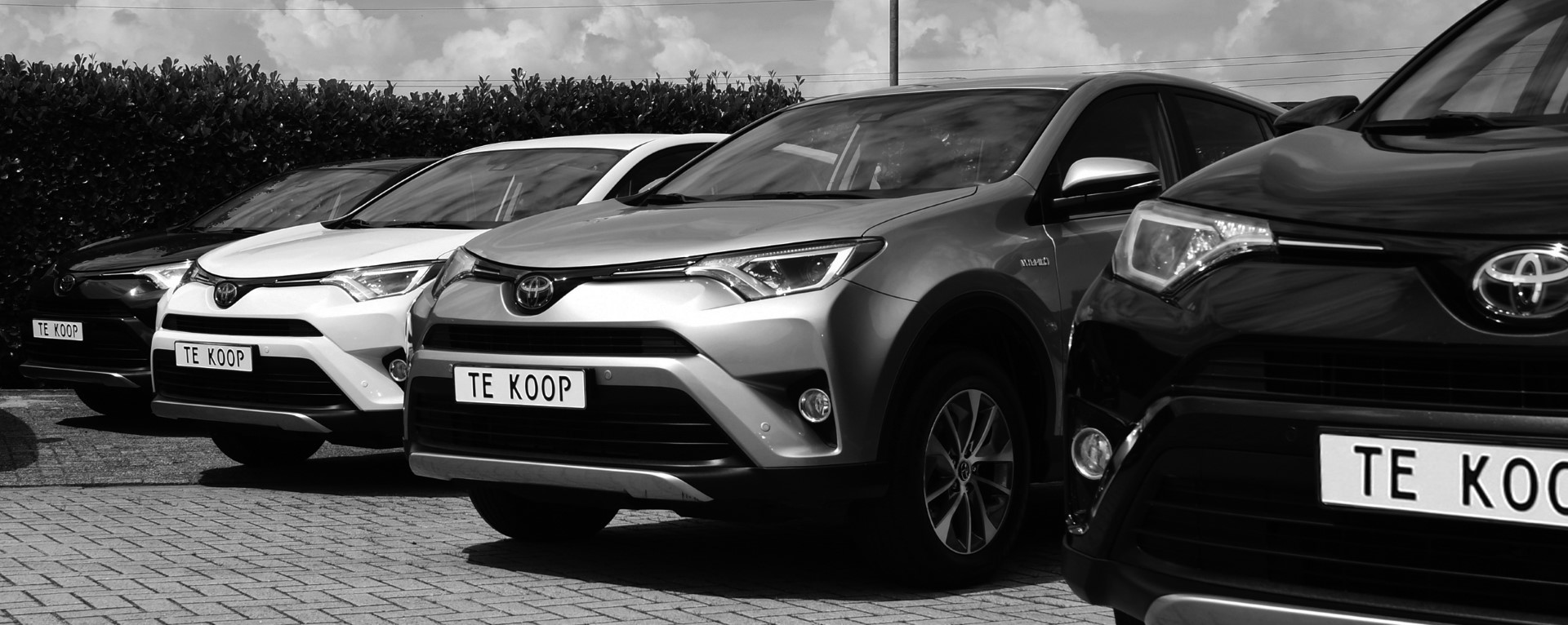 Impressie RAV4